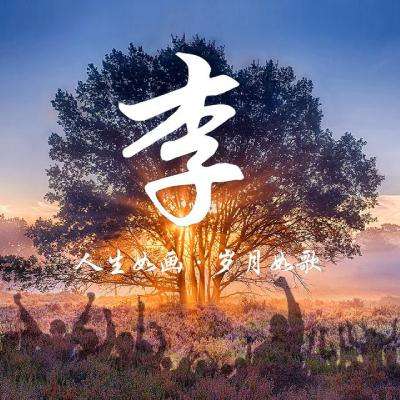 AOA电竞官网网友评论头像