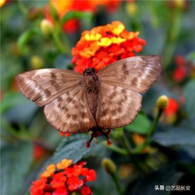 博鱼官方下载企业版