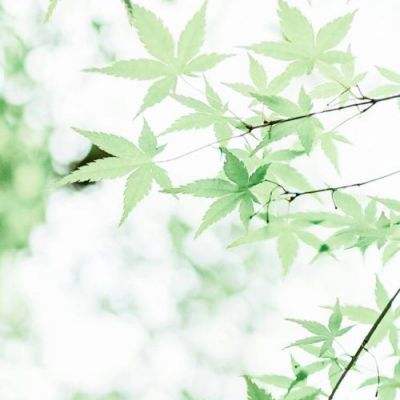 什么软件可以买欧洲杯彩票网友评论头像