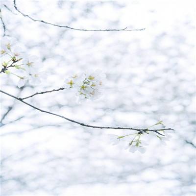 5分彩