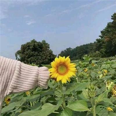 第四步:完成安装并运行k1体育app下载官方网站客户端