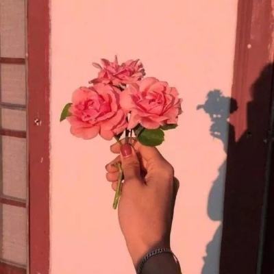 bb电子网站