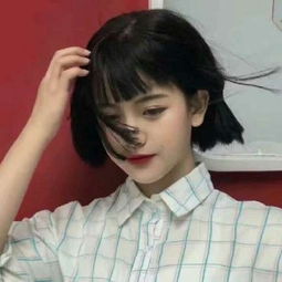 鸿博娱乐app下载网友评论头像