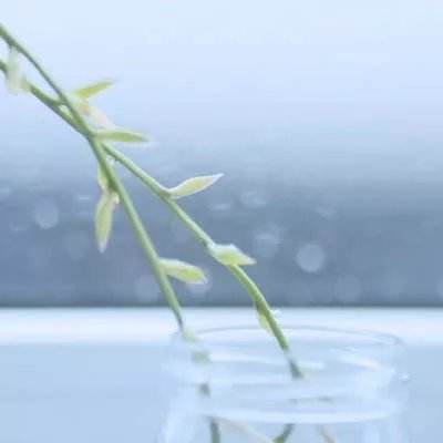 皇冠足彩官网